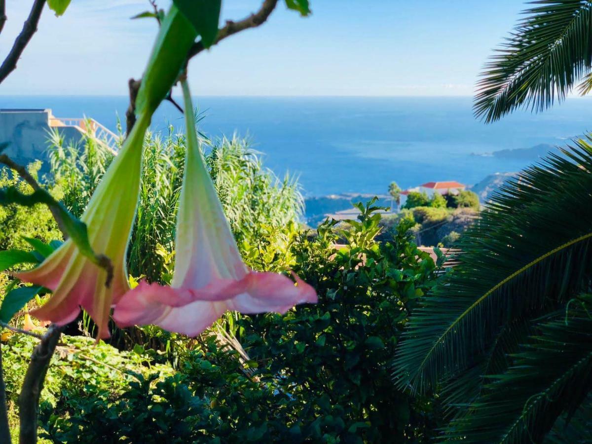 Casa Ida Guest House Garachico  Eksteriør bilde